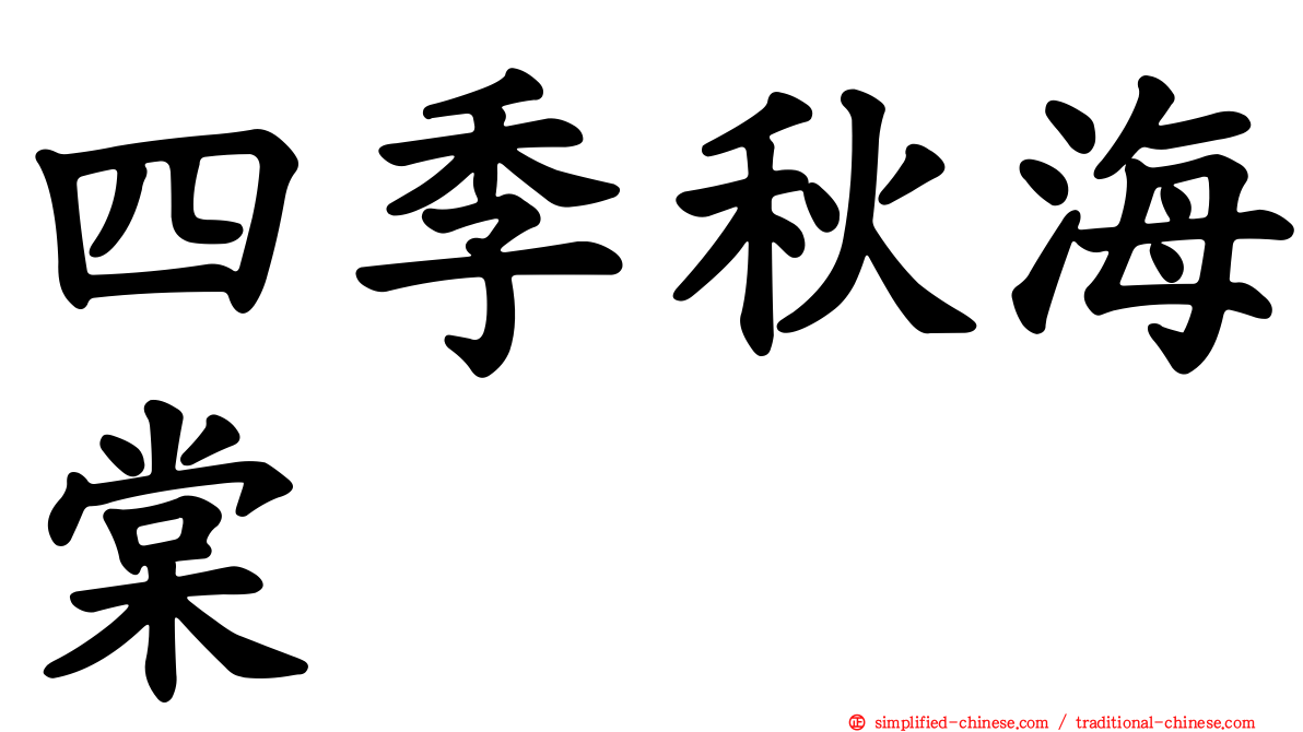 四季秋海棠