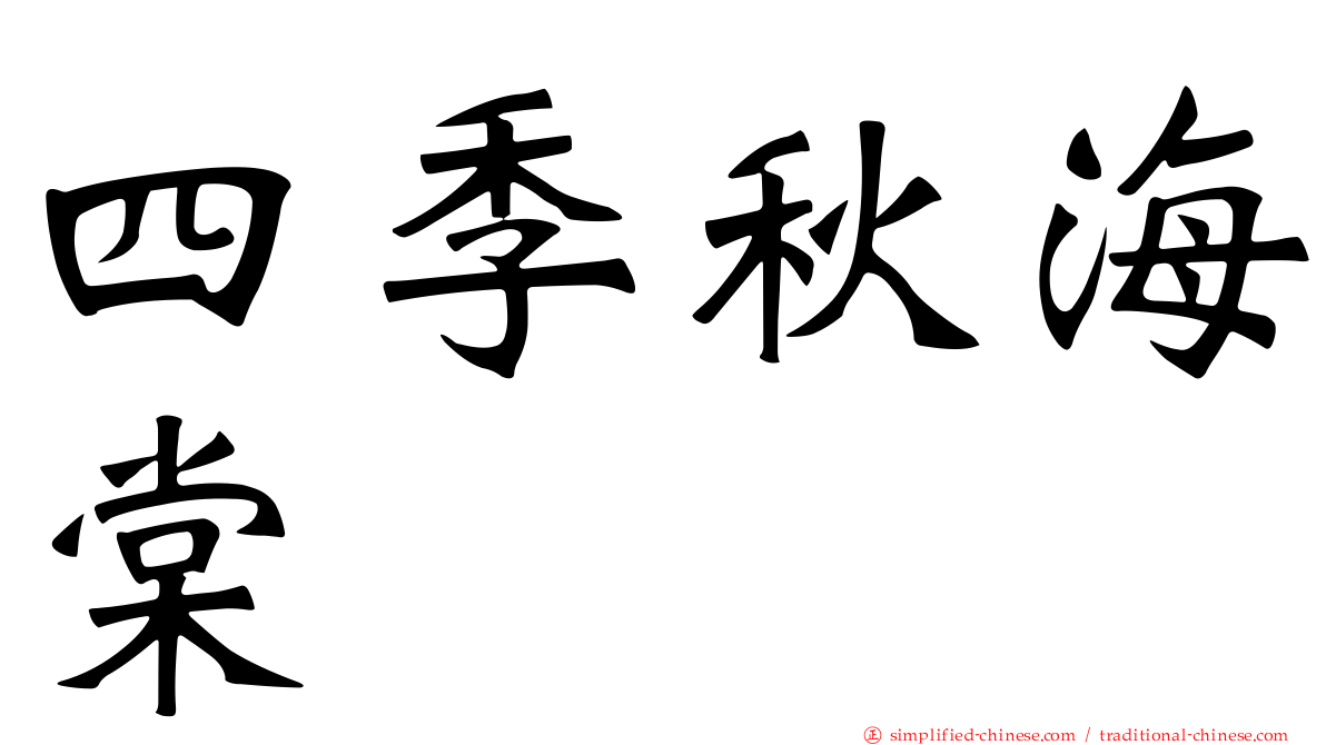 四季秋海棠