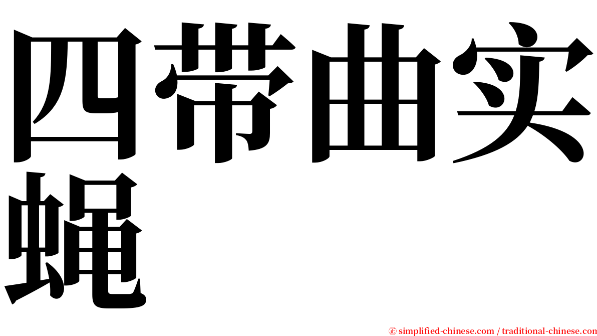 四带曲实蝇 serif font