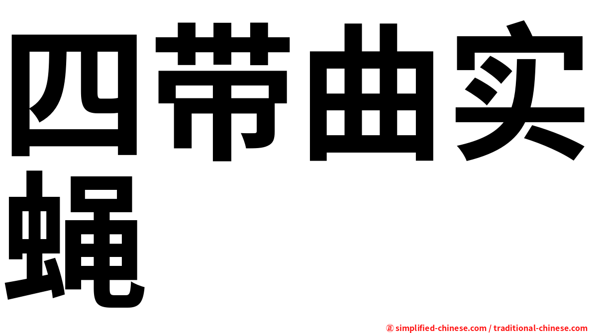 四带曲实蝇