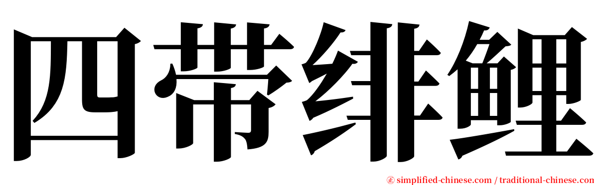 四带绯鲤 serif font