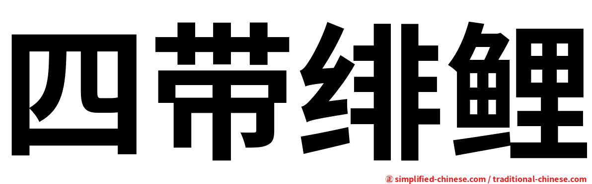 四带绯鲤