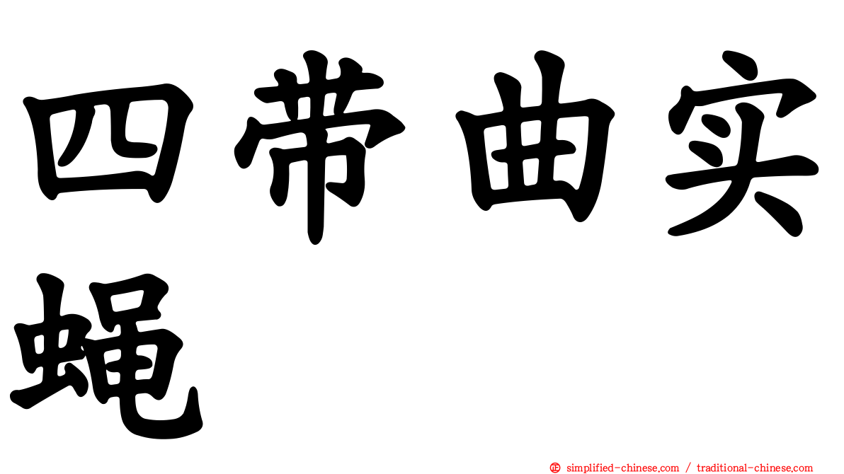 四带曲实蝇
