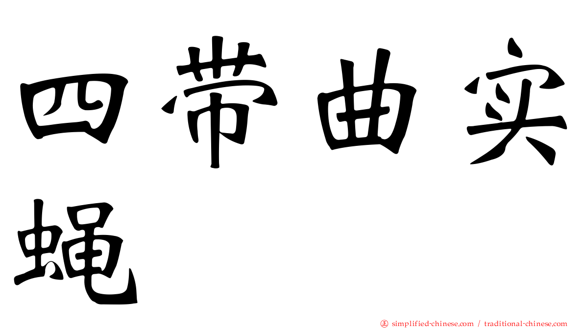 四带曲实蝇