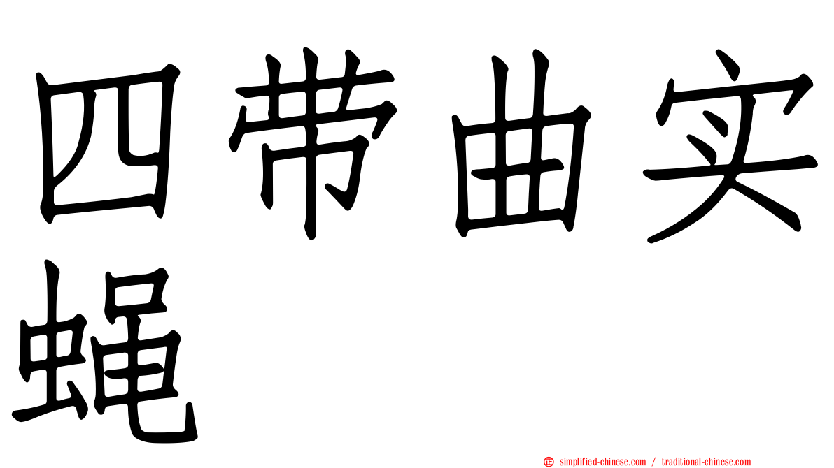 四带曲实蝇