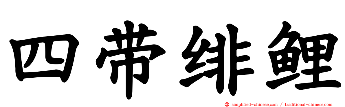 四带绯鲤