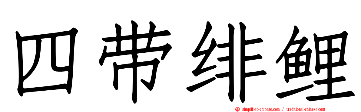 四带绯鲤