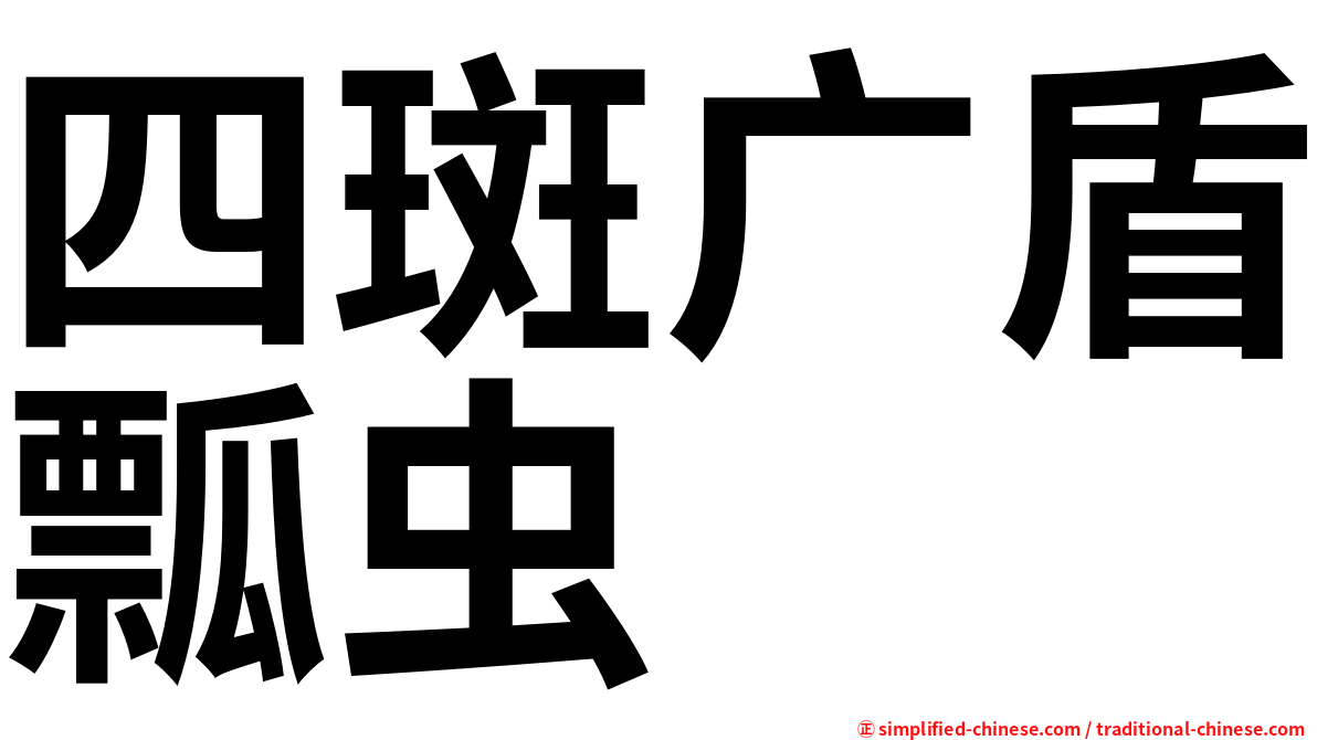 四斑广盾瓢虫