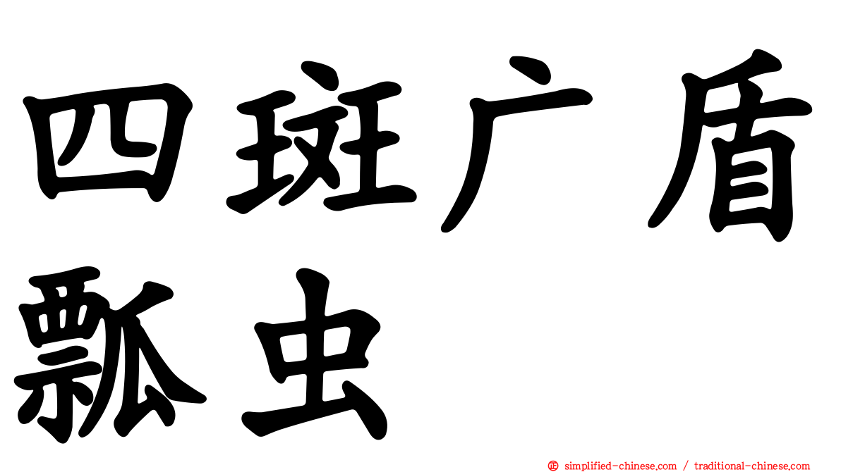 四斑广盾瓢虫