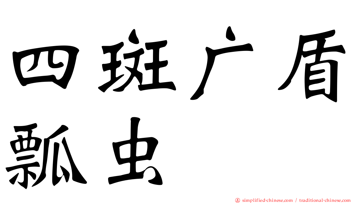 四斑广盾瓢虫