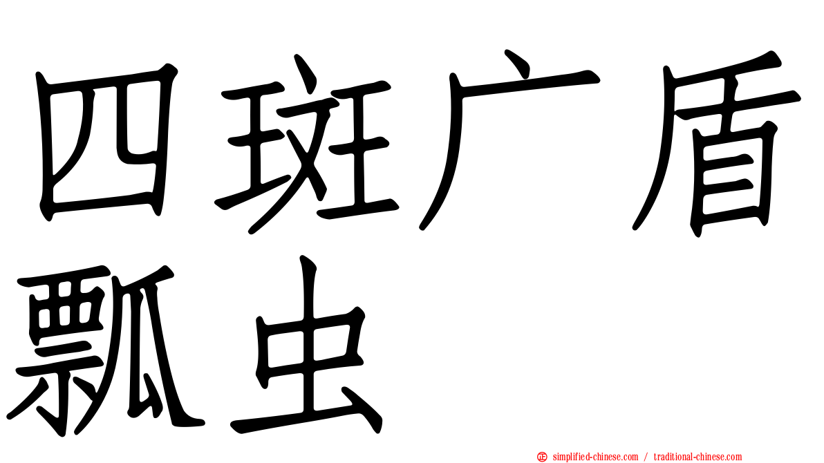 四斑广盾瓢虫
