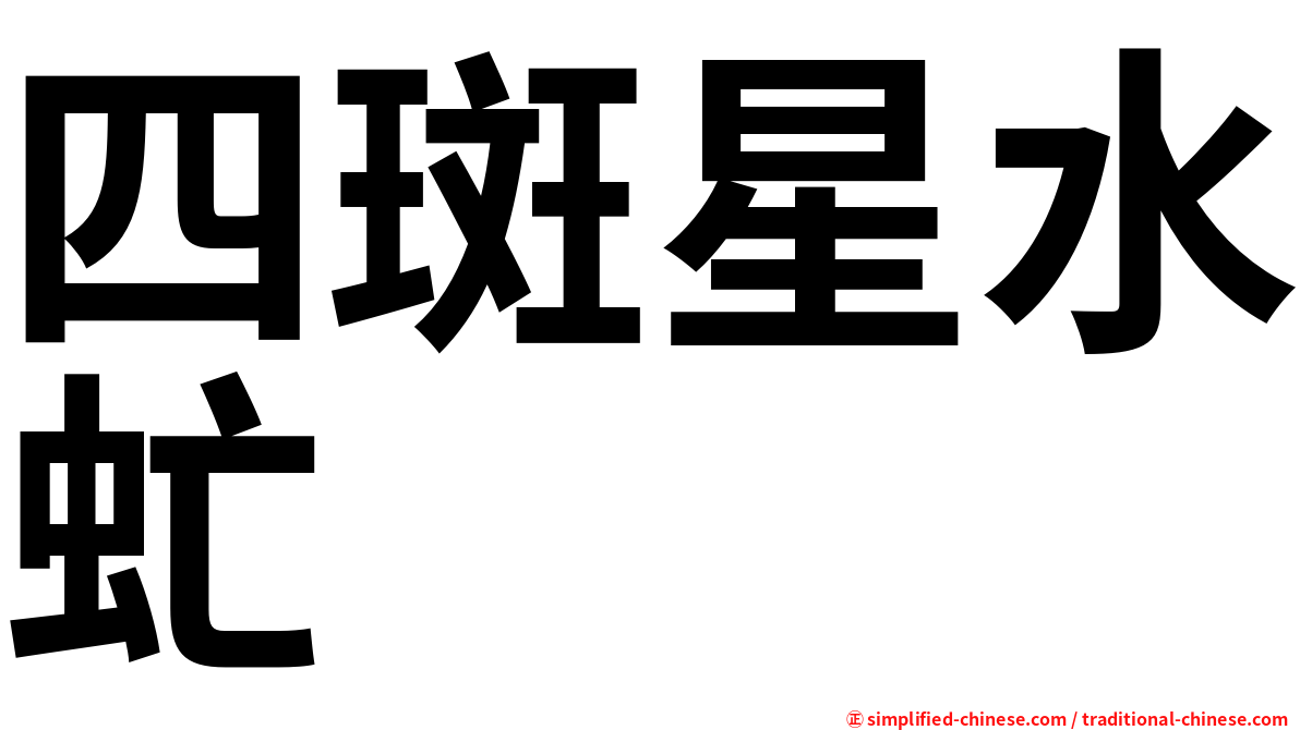 四斑星水虻