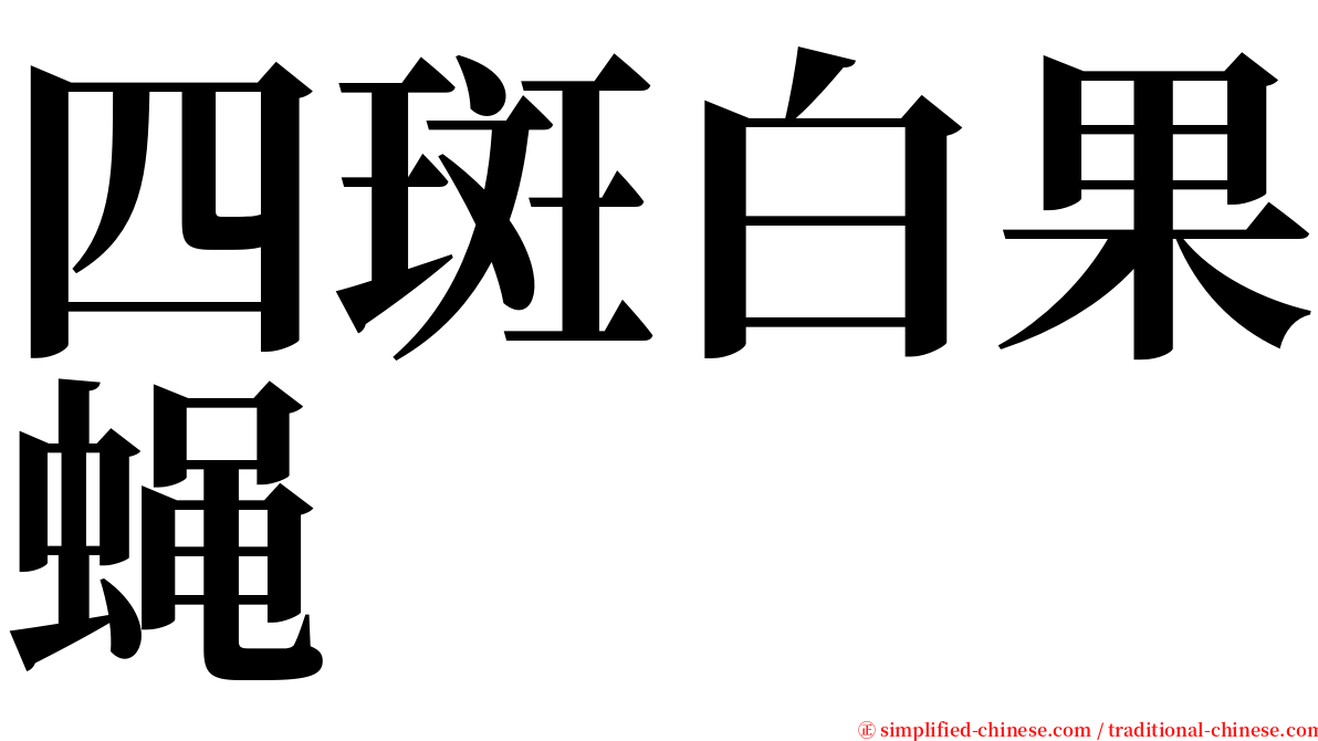 四斑白果蝇 serif font