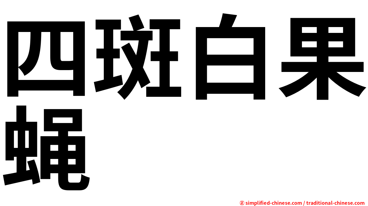 四斑白果蝇