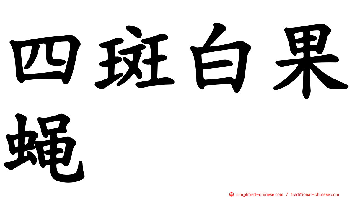 四斑白果蝇