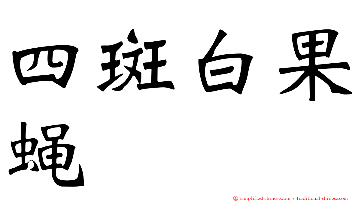 四斑白果蝇