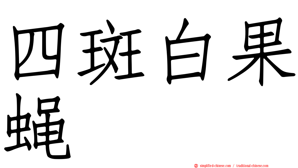四斑白果蝇