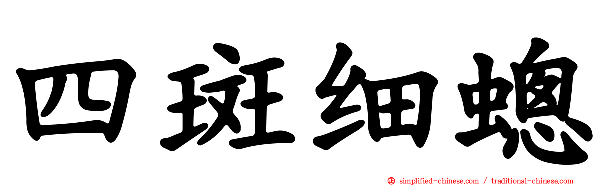 四斑细蟌