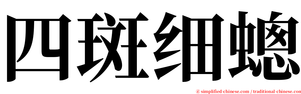 四斑细蟌 serif font