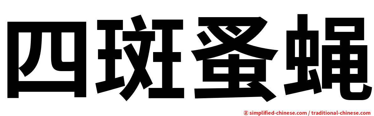 四斑蚤蝇