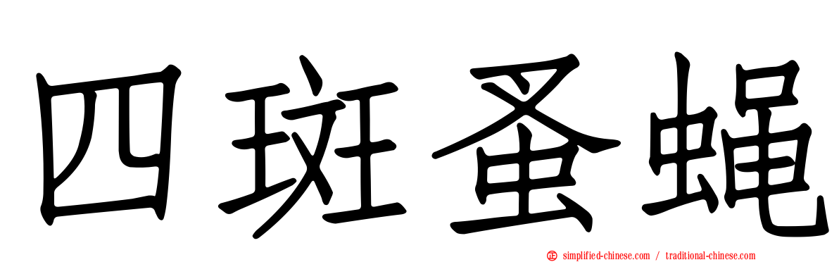 四斑蚤蝇