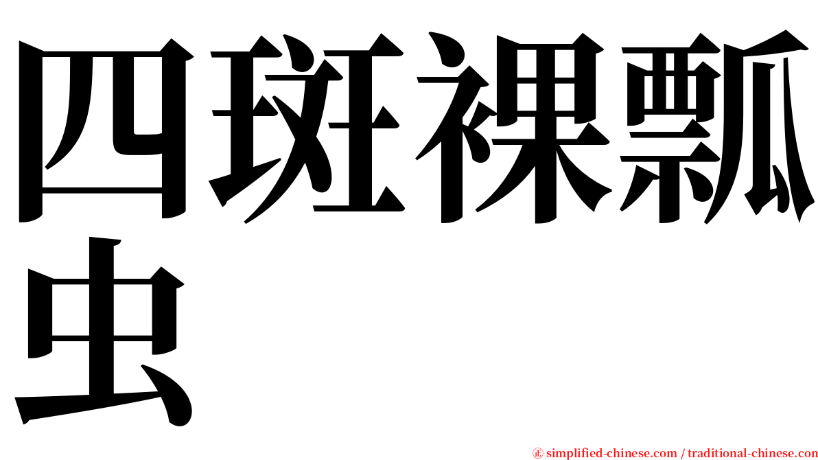 四斑裸瓢虫 serif font
