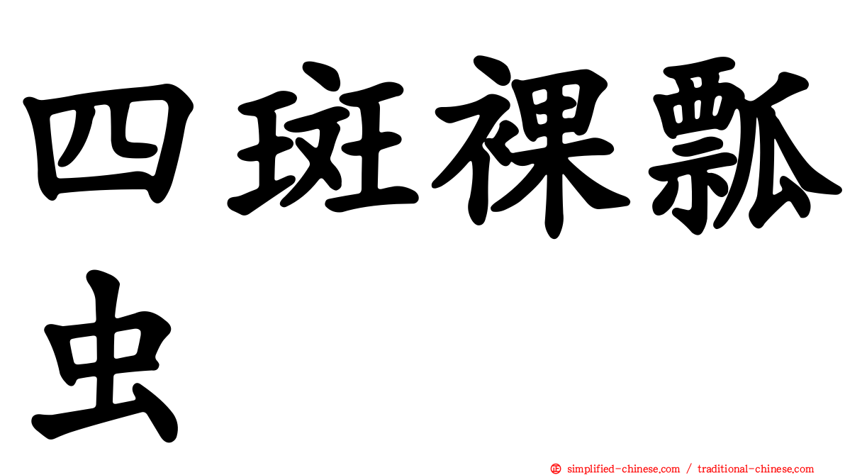 四斑裸瓢虫