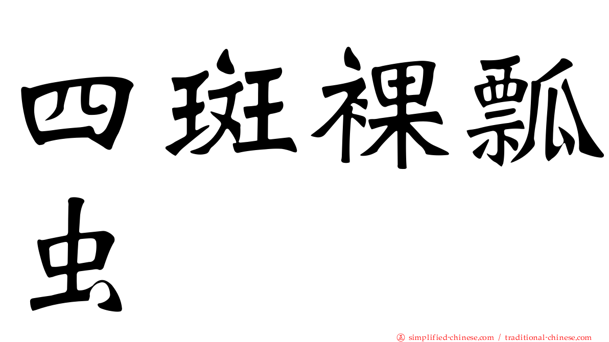 四斑裸瓢虫