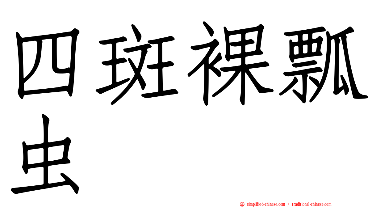 四斑裸瓢虫