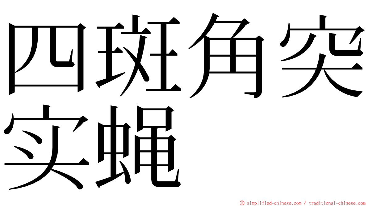 四斑角突实蝇 ming font