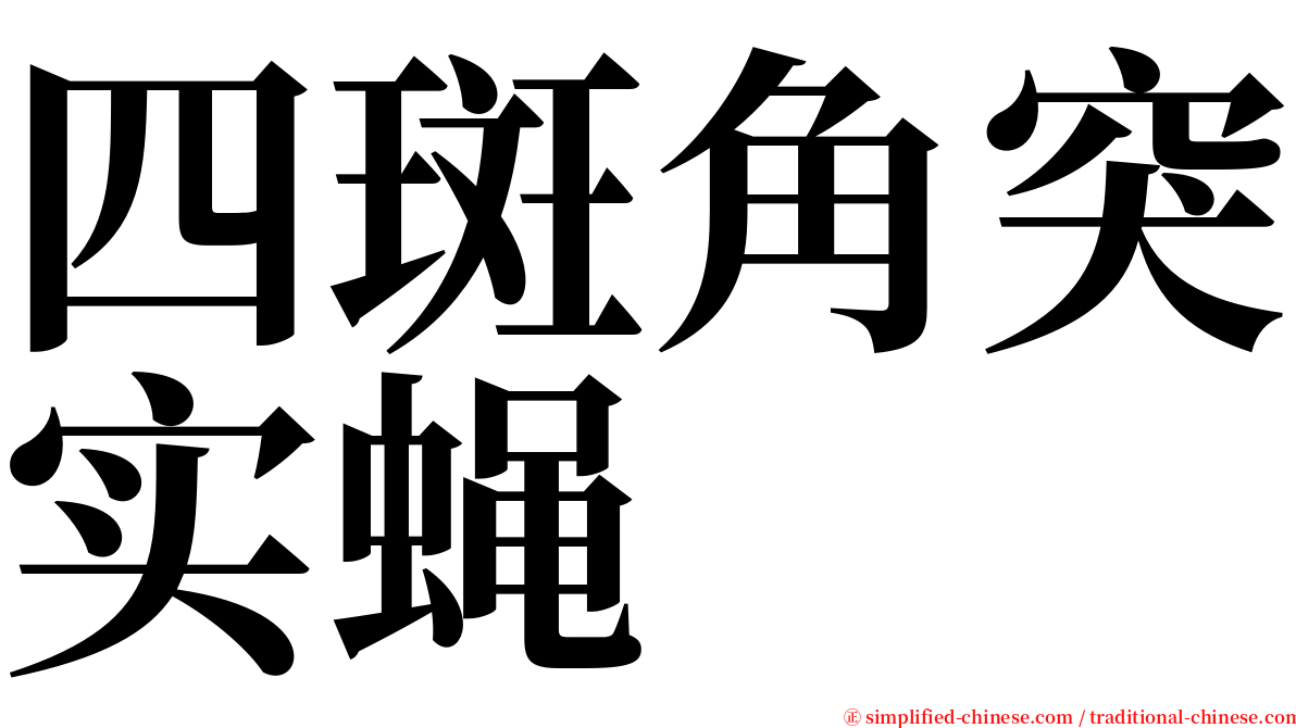 四斑角突实蝇 serif font