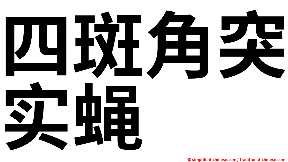 四斑角突实蝇