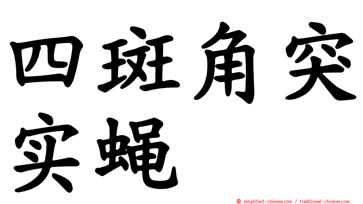 四斑角突实蝇