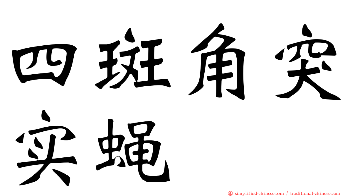 四斑角突实蝇