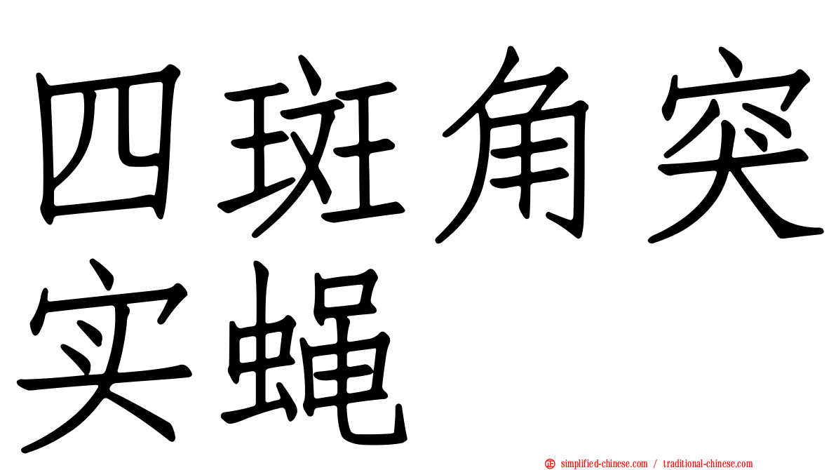 四斑角突实蝇