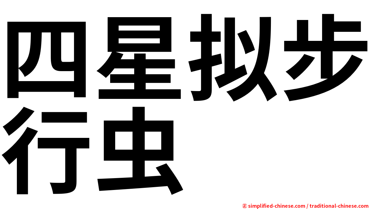 四星拟步行虫