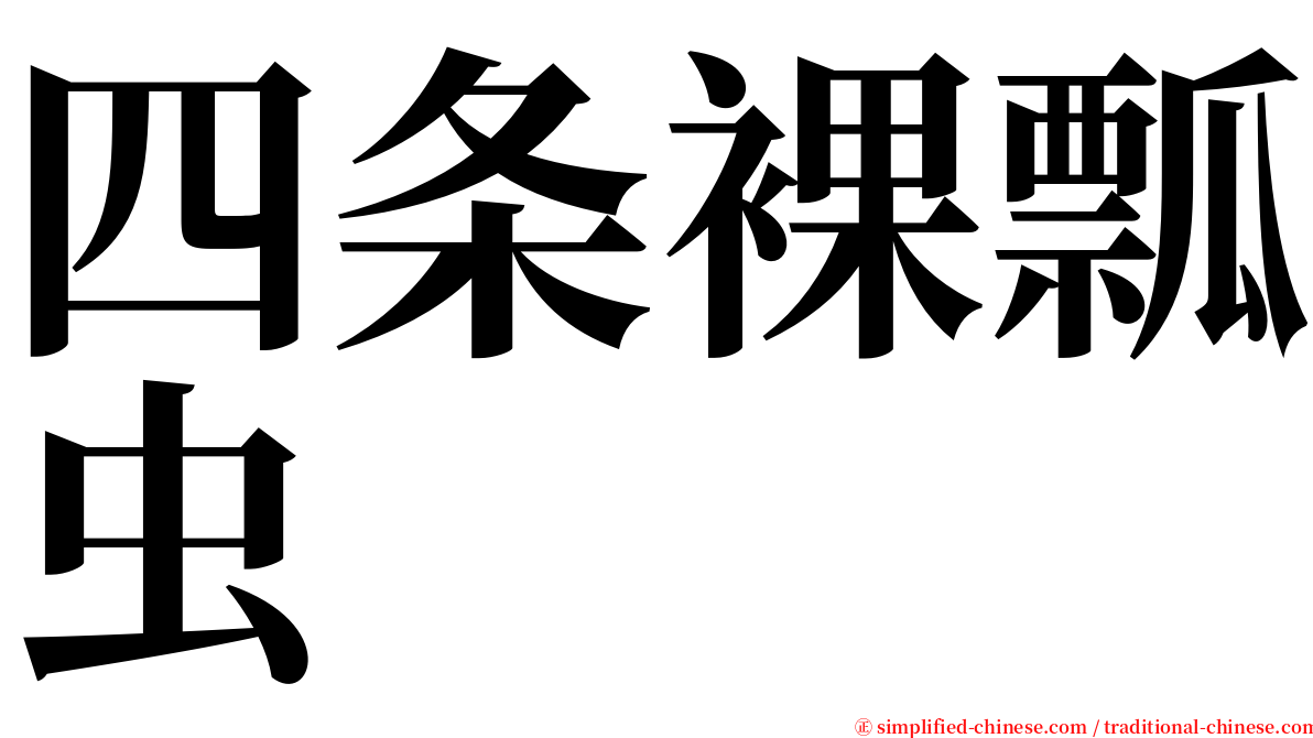 四条裸瓢虫 serif font