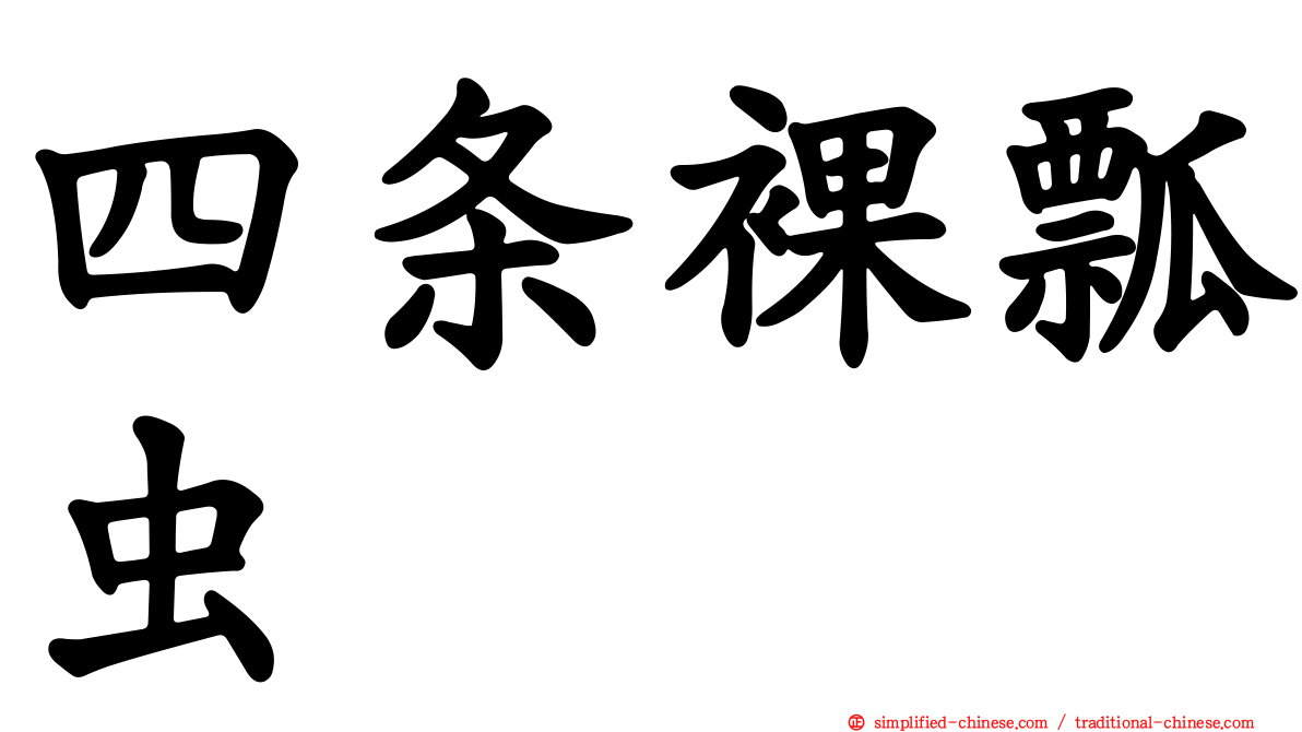 四条裸瓢虫