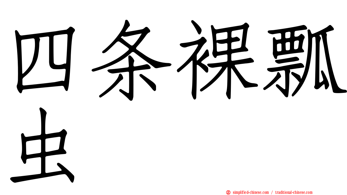 四条裸瓢虫