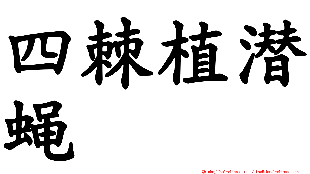 四棘植潜蝇