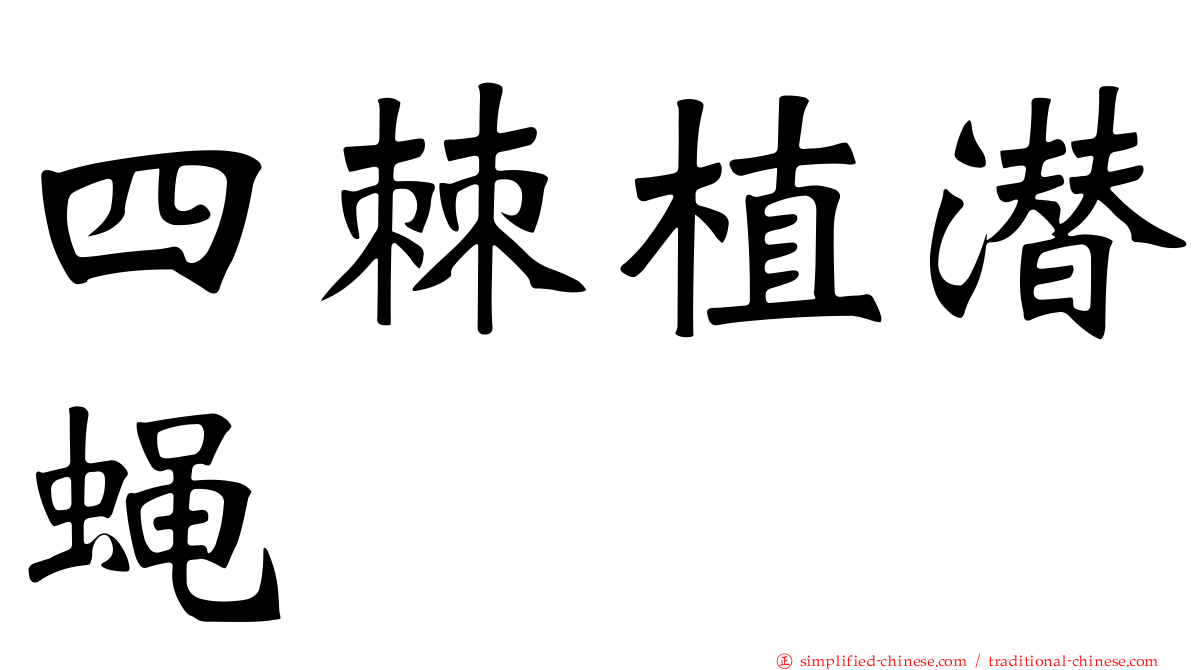 四棘植潜蝇