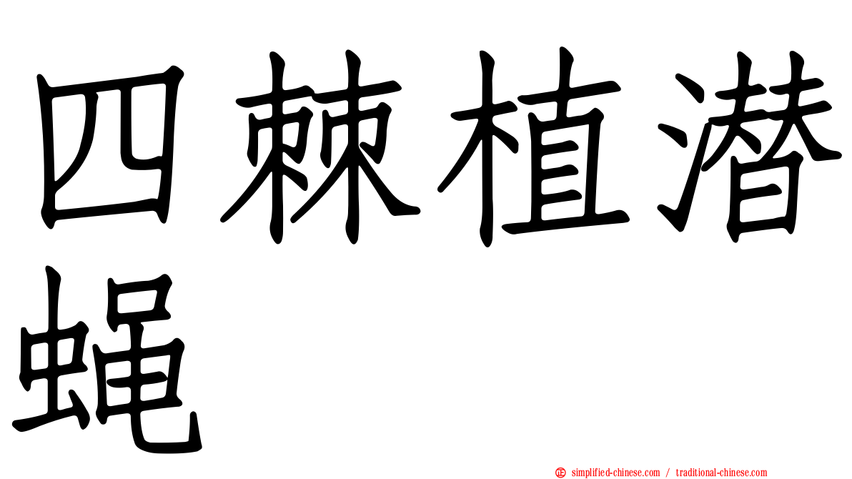 四棘植潜蝇