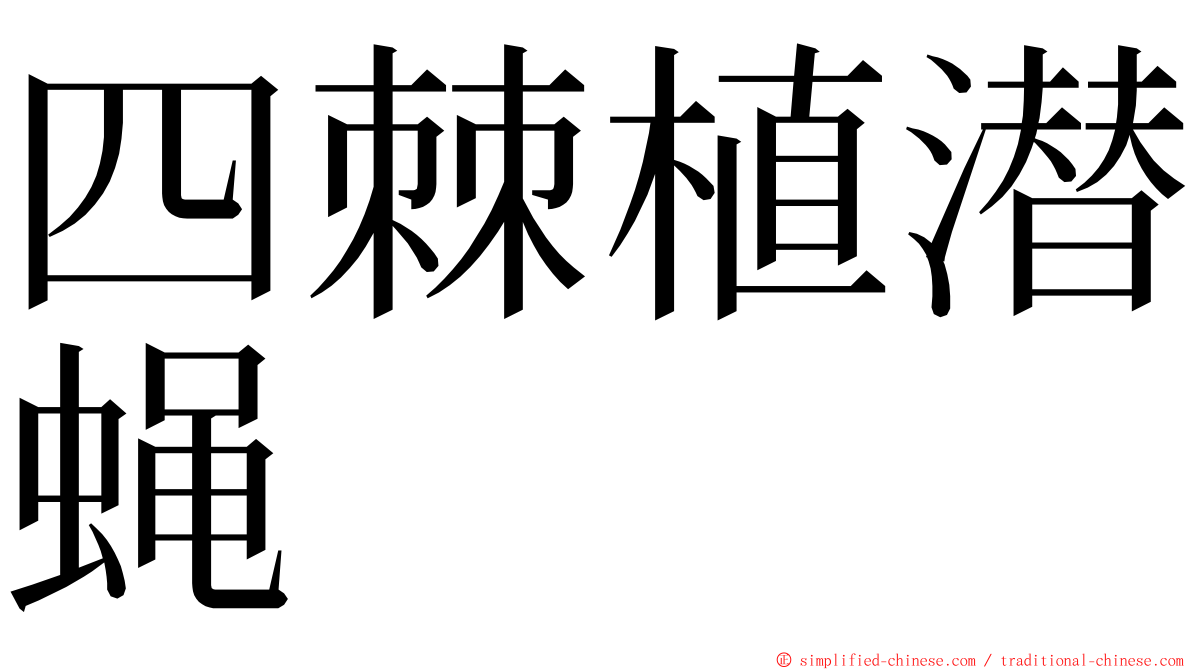 四棘植潜蝇 ming font