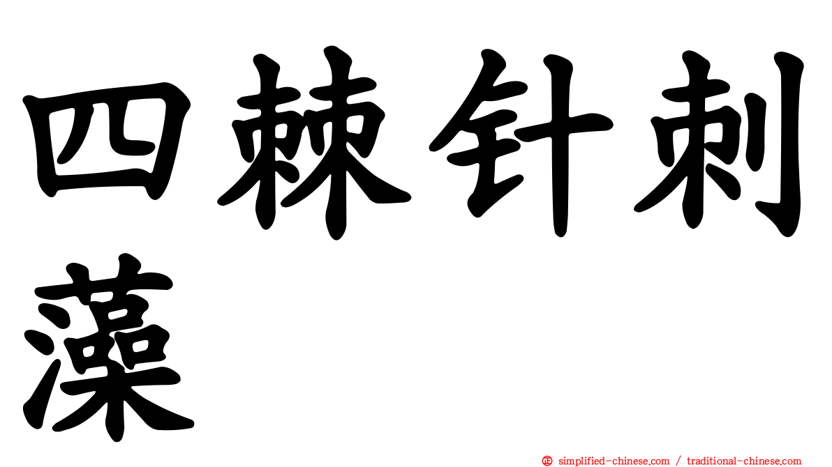 四棘针刺藻