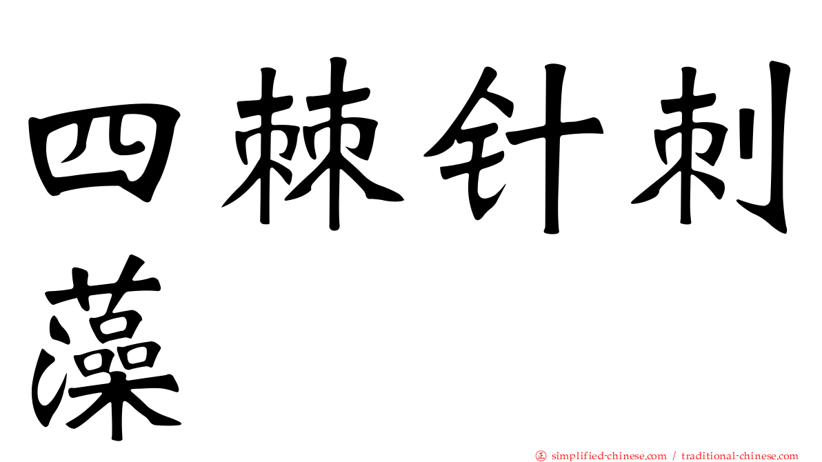四棘针刺藻