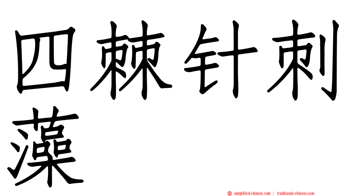 四棘针刺藻