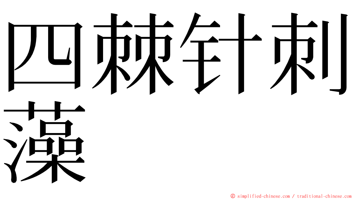四棘针刺藻 ming font