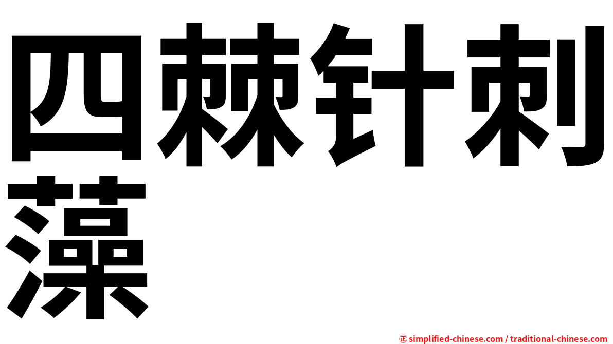 四棘针刺藻