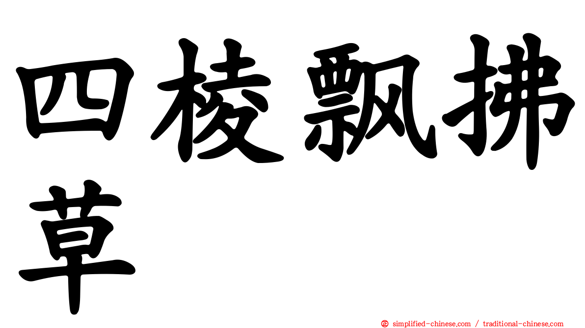 四棱飘拂草