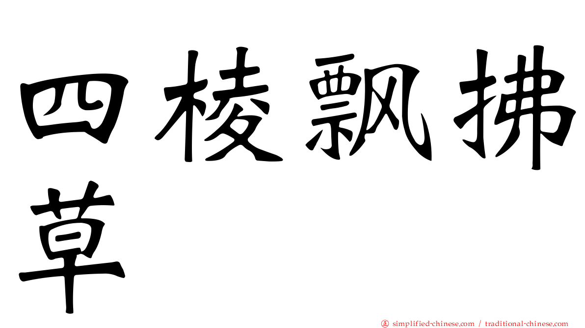 四棱飘拂草